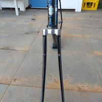 telaio sportivo Triumph 