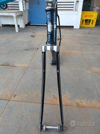 telaio sportivo Triumph 