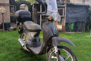 Honda scarabeo 50cc