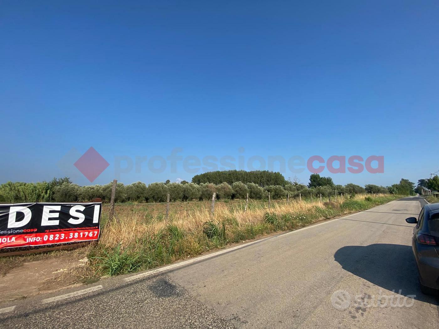 Terreno Agricolo Falciano del Massico - Vista 5