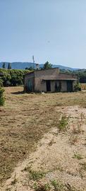 Rustico con terreno