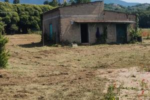 Rustico con terreno