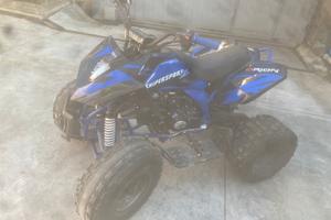 Quad 125