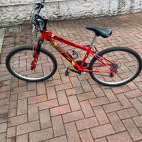 Bicicletta Mountain Bike