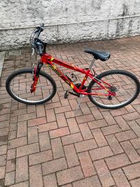 Bicicletta Mountain Bike