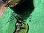Immagine 5
