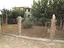 Immagine 11