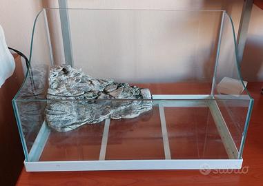 Teca Tartaruga d'acqua + omaggio