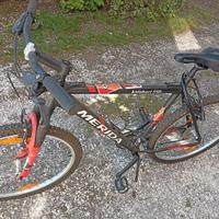 bici da uomo Merida