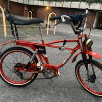 Bici Saltafos Ceriani - condizioni perfette