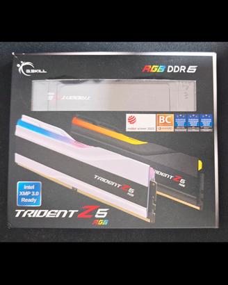 RAM 24gbx2 G-SKILL  F5-8000J4048F24GX2-TZ5RK