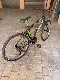 Bicicletta mountain bike bici frejus raggio 24