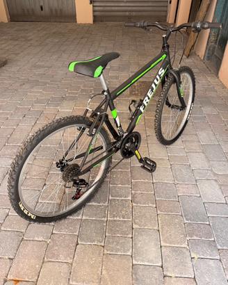 Bicicletta mountain bike bici frejus raggio 24
