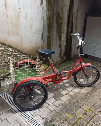 Biciclette a 3 ruote