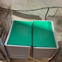 Gabbie per allevamento razionale conigli