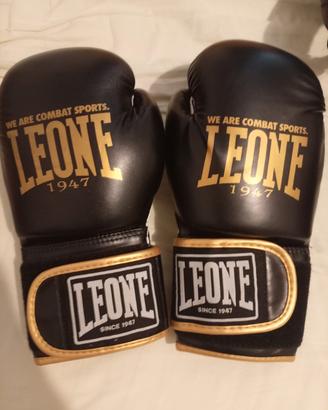 attrezzatura per la boxe