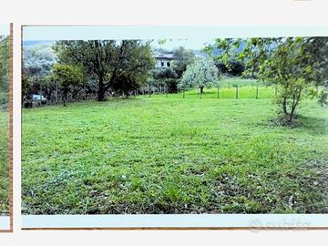 Vendita terreno agricolo