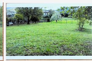 Vendita terreno agricolo