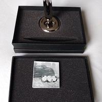 PENNA PHILIPPI Lucy NUOVA con Piastra Magnetica