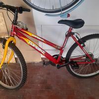 mountain-bike da donna