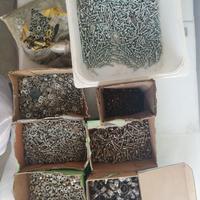 serie di viti e altro in acciaio