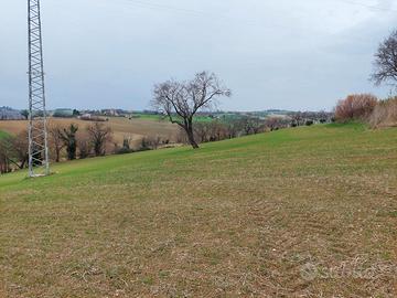 Vendesi terreno agricolo