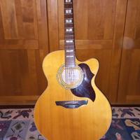 Chitarra acustica Takamine EG523SC