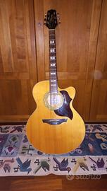 Chitarra acustica Takamine EG523SC