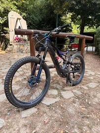 Specialized turbo levo carbon