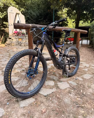 Specialized turbo levo carbon