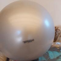 wellness ball 55 cm