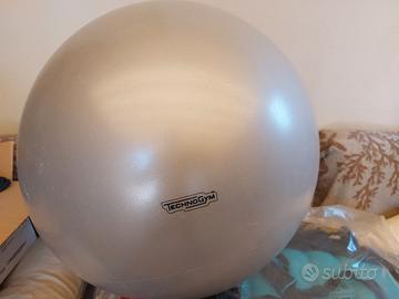 wellness ball 55 cm
