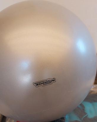 wellness ball 55 cm