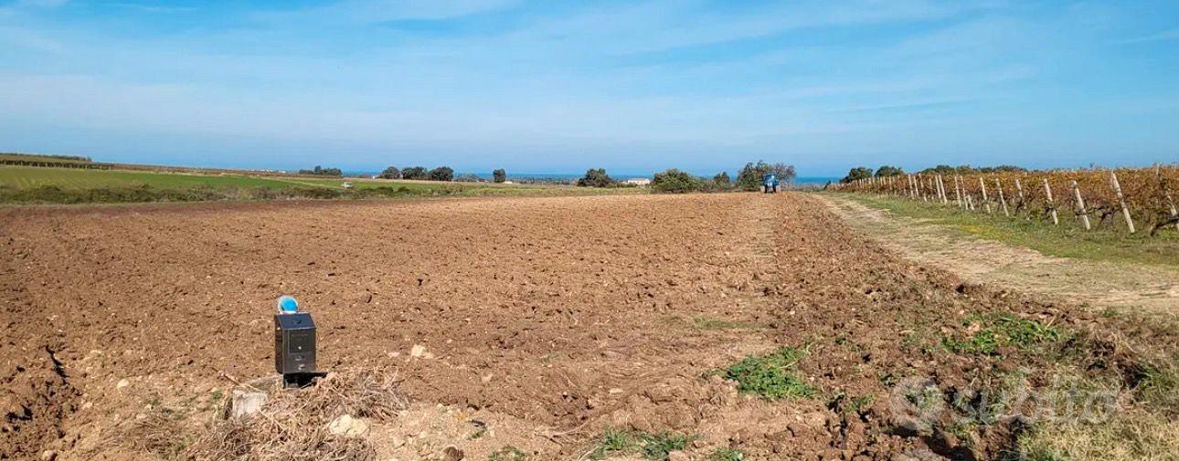 Nuova Cliternia-terreno di 27.800mq-Campomarino - Vista 2