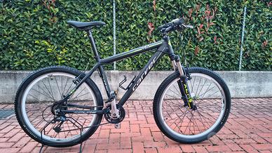 Mountain bike Carver 