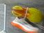 Immagine 2
