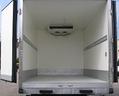 cella-frigo-iveco-daily