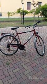 BICICLETTA DA UOMO