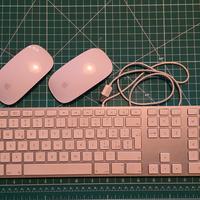 tastiera estesa  e 2 mouse wireless Apple