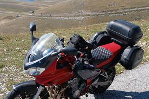 Suzuki GSF 600 Bandit - 2001