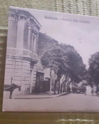 cartoline 