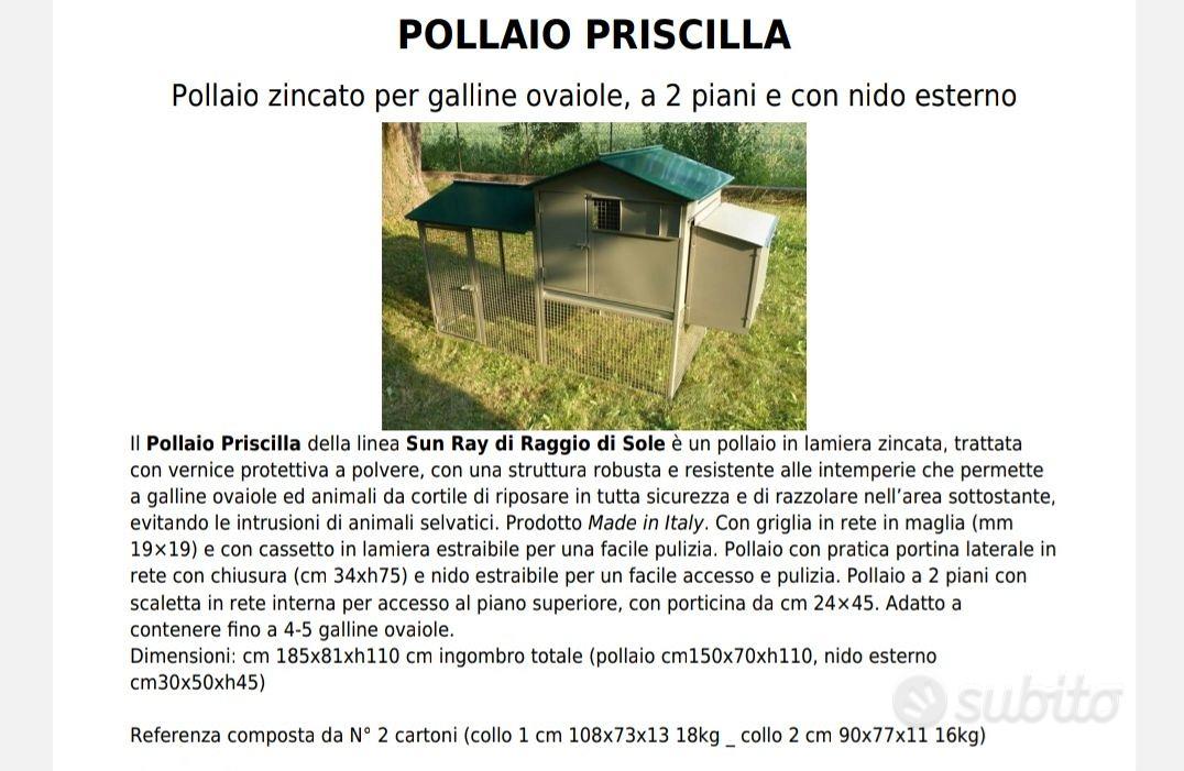 Pollaio zincato per galline ovaiole, a 2 piani e con nido esterno