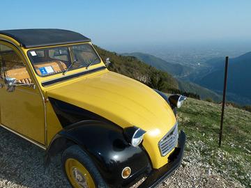 Citroen 2CV 2 Cavalli Special 1979