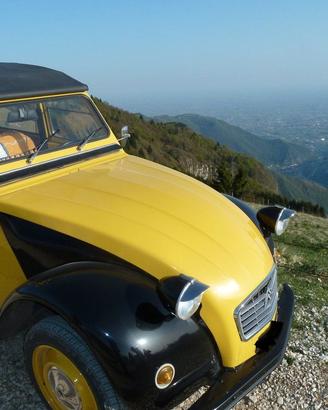 Citroen 2CV 2 Cavalli Special 1979