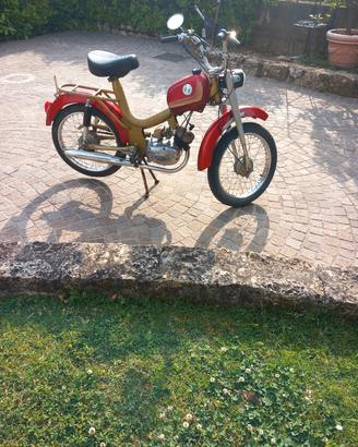 Omer Mon Ami 1960