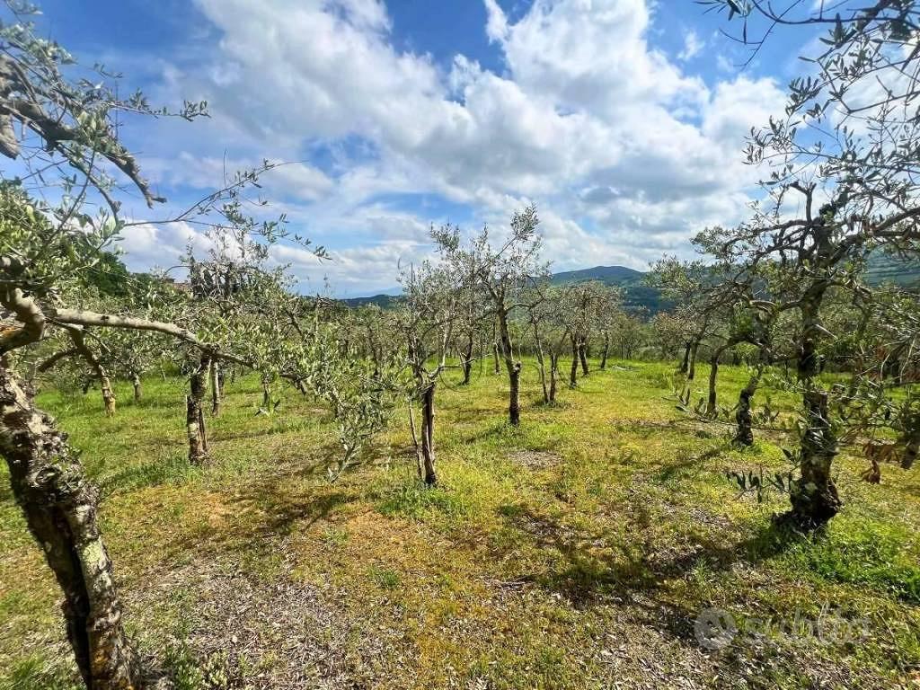 Terreno di 2000 m² a Pieve Santo Stefano - Vista 5