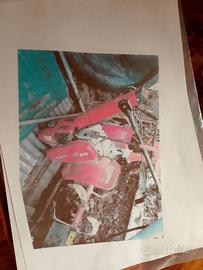 Motozappa Honda F510