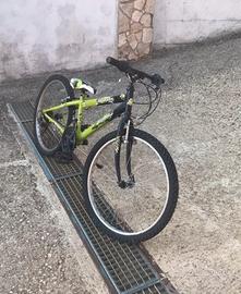 Bici Regina 24”