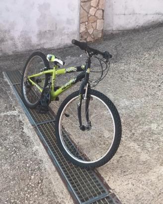 Bici Regina 24”