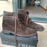 polacco b.c.campanile